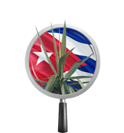 projetcuba